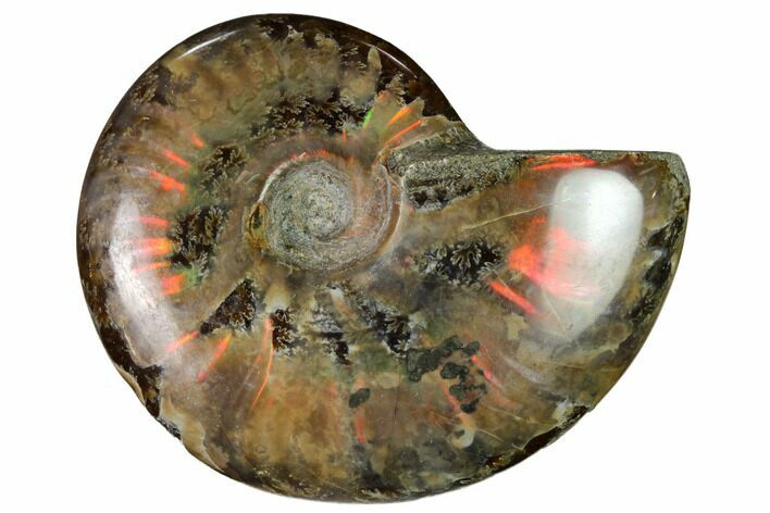 Red Flash Ammonite Fossil - Madagascar #151739